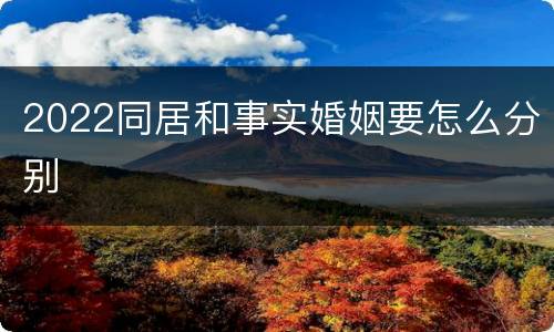 2022同居和事实婚姻要怎么分别
