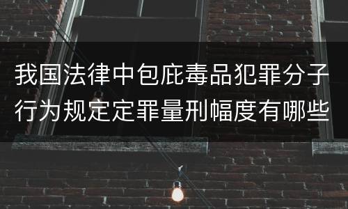 我国法律中包庇毒品犯罪分子行为规定定罪量刑幅度有哪些