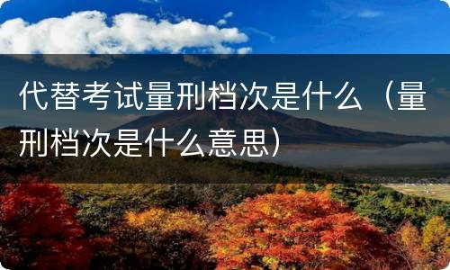 代替考试量刑档次是什么（量刑档次是什么意思）
