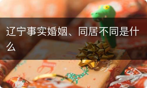 辽宁事实婚姻、同居不同是什么