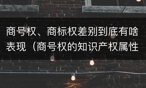 商号权、商标权差别到底有啥表现（商号权的知识产权属性）