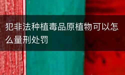 犯非法种植毒品原植物可以怎么量刑处罚