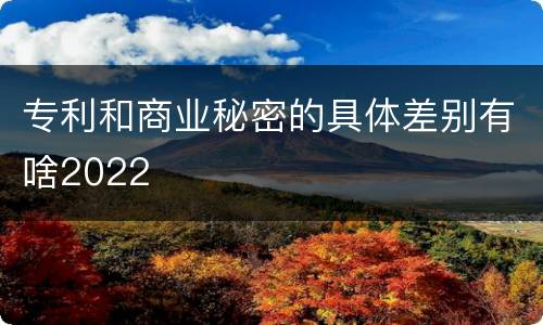 专利和商业秘密的具体差别有啥2022