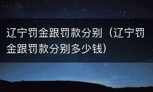 辽宁罚金跟罚款分别（辽宁罚金跟罚款分别多少钱）