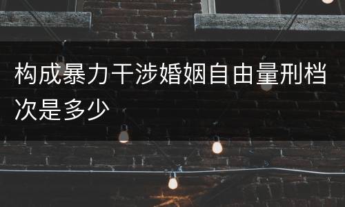 构成暴力干涉婚姻自由量刑档次是多少