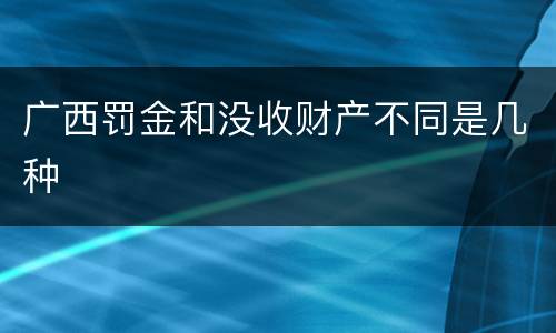 广西罚金和没收财产不同是几种