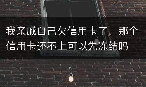 我亲戚自己欠信用卡了，那个信用卡还不上可以先冻结吗
