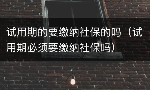 试用期的要缴纳社保的吗（试用期必须要缴纳社保吗）