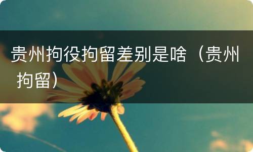 贵州拘役拘留差别是啥（贵州 拘留）