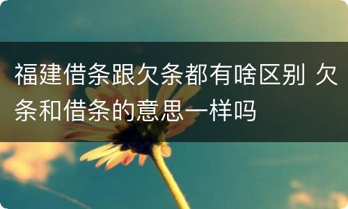 福建借条跟欠条都有啥区别 欠条和借条的意思一样吗