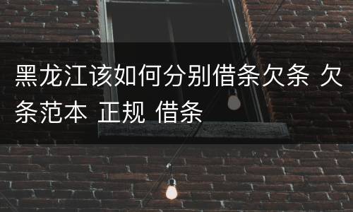 黑龙江该如何分别借条欠条 欠条范本 正规 借条