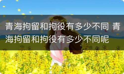 青海拘留和拘役有多少不同 青海拘留和拘役有多少不同呢
