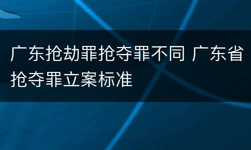 广东抢劫罪抢夺罪不同 广东省抢夺罪立案标准