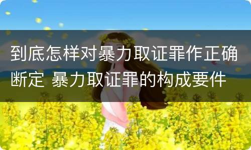 到底怎样对暴力取证罪作正确断定 暴力取证罪的构成要件