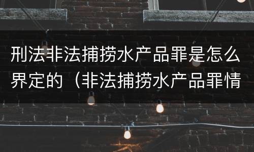 刑法非法捕捞水产品罪是怎么界定的（非法捕捞水产品罪情节严重的认定）