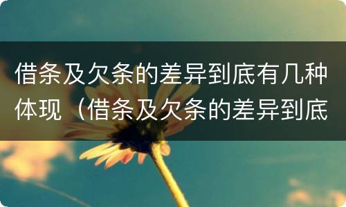 借条及欠条的差异到底有几种体现（借条及欠条的差异到底有几种体现形式）
