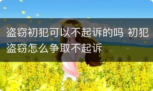 盗窃初犯可以不起诉的吗 初犯盗窃怎么争取不起诉