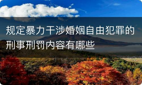 规定暴力干涉婚姻自由犯罪的刑事刑罚内容有哪些