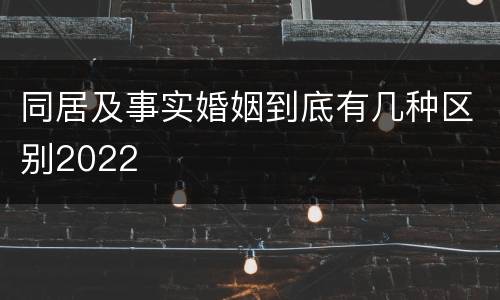 同居及事实婚姻到底有几种区别2022
