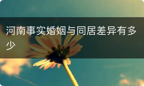 河南事实婚姻与同居差异有多少