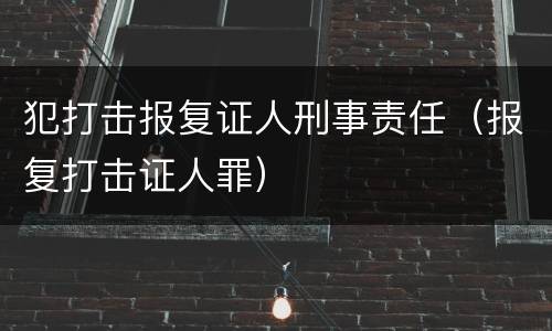 犯打击报复证人刑事责任（报复打击证人罪）
