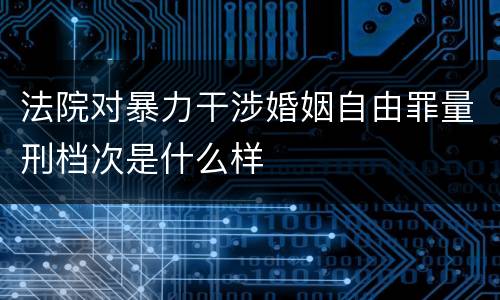 法院对暴力干涉婚姻自由罪量刑档次是什么样