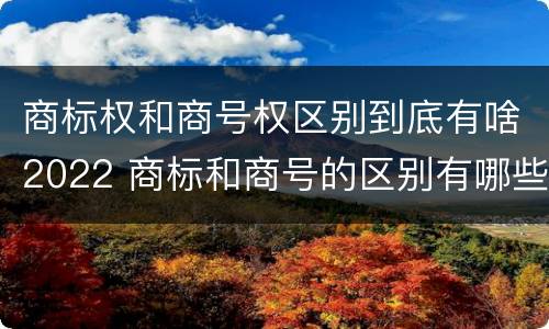 商标权和商号权区别到底有啥2022 商标和商号的区别有哪些?