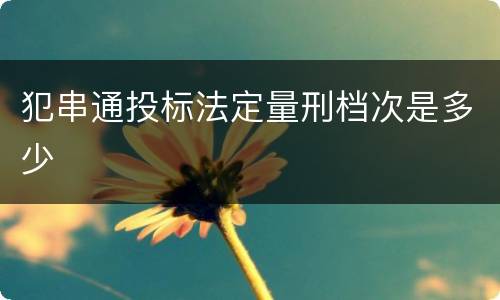 犯串通投标法定量刑档次是多少