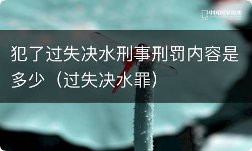 犯了过失决水刑事刑罚内容是多少（过失决水罪）
