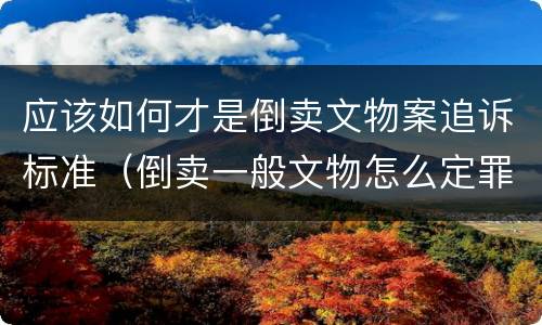 应该如何才是倒卖文物案追诉标准（倒卖一般文物怎么定罪）