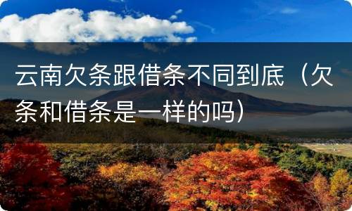 云南欠条跟借条不同到底（欠条和借条是一样的吗）