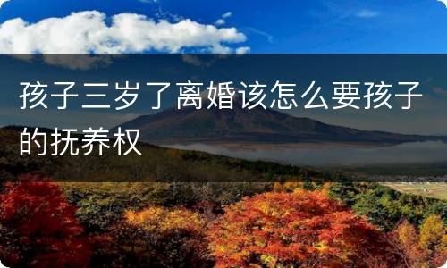 孩子三岁了离婚该怎么要孩子的抚养权