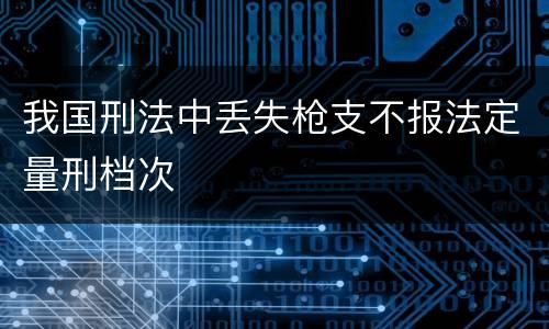 我国刑法中丢失枪支不报法定量刑档次