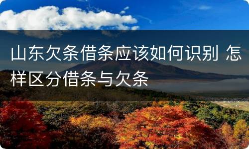 山东欠条借条应该如何识别 怎样区分借条与欠条