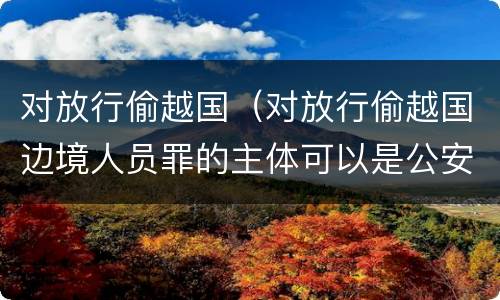 对放行偷越国（对放行偷越国边境人员罪的主体可以是公安民警吗）