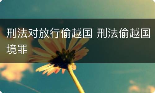 刑法对放行偷越国 刑法偷越国境罪