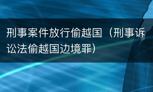 刑事案件放行偷越国（刑事诉讼法偷越国边境罪）