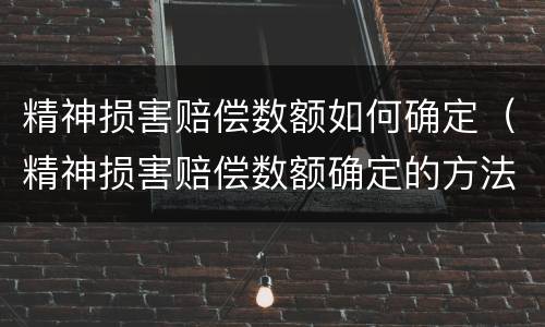 精神损害赔偿数额如何确定（精神损害赔偿数额确定的方法）