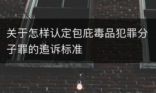 关于怎样认定包庇毒品犯罪分子罪的追诉标准
