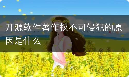 开源软件著作权不可侵犯的原因是什么