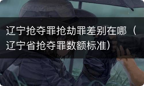 辽宁抢夺罪抢劫罪差别在哪（辽宁省抢夺罪数额标准）