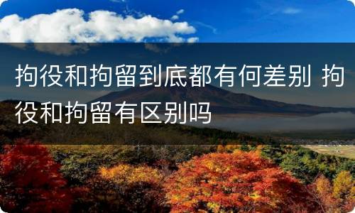 拘役和拘留到底都有何差别 拘役和拘留有区别吗