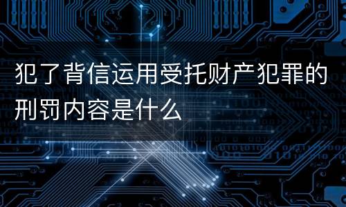 犯了背信运用受托财产犯罪的刑罚内容是什么