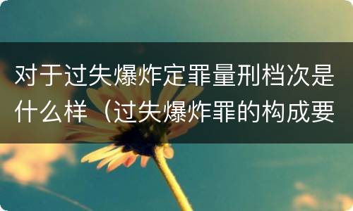 对于过失爆炸定罪量刑档次是什么样（过失爆炸罪的构成要件）