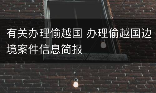 有关办理偷越国 办理偷越国边境案件信息简报