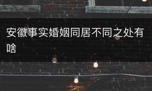 安徽事实婚姻同居不同之处有啥