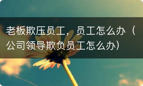 老板欺压员工，员工怎么办（公司领导欺负员工怎么办）