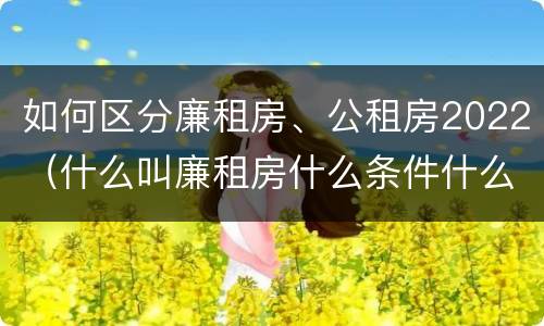 如何区分廉租房、公租房2022（什么叫廉租房什么条件什么叫公租房）