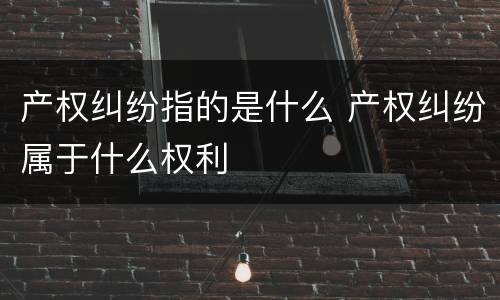 产权纠纷指的是什么 产权纠纷属于什么权利