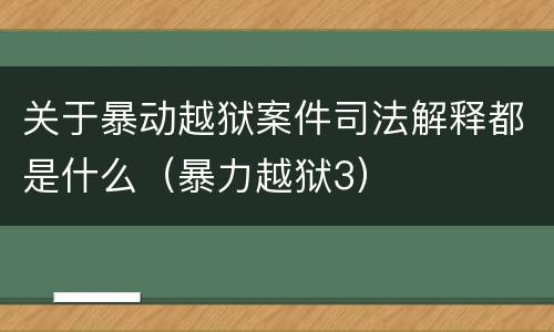 关于暴动越狱案件司法解释都是什么（暴力越狱3）